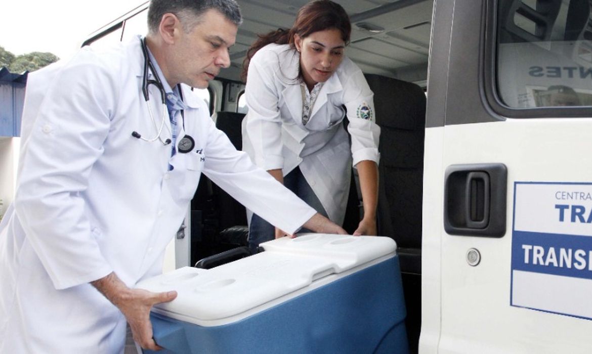 a transplante da membrana amniótica para tratar diabetes. Programa de saúde do g