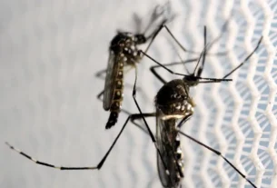 um vírus. Esse vírus é transmitido pela picada de um mosquito silvestre, que viv