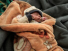 Haseeb Alwazeer/Reuters