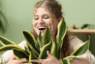 Benefício também para os humanos: numa época em que recorremos à IA para conversar ou buscar apoio, as plantas oferecem uma vantagem insuperável, pois nunca darão um conselho errad