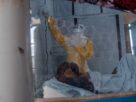 Ebola na RDC: mil novas infecções em dez dias intensificam crise sanitária