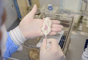 Biobanco de Curitiba se destaca na pesquisa global de câncer infantil