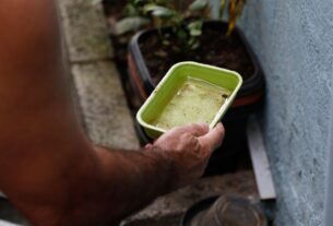 El Niño ameaça elevar casos de dengue e chikungunya no Brasil