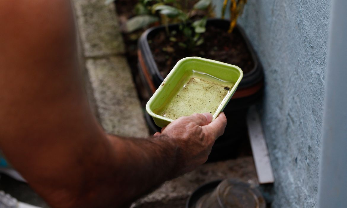El Niño ameaça elevar casos de dengue e chikungunya no Brasil