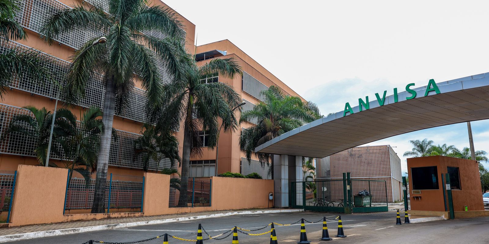 Anvisa libera novas canetas de semaglutida e autoriza primeiro genérico no Brasil