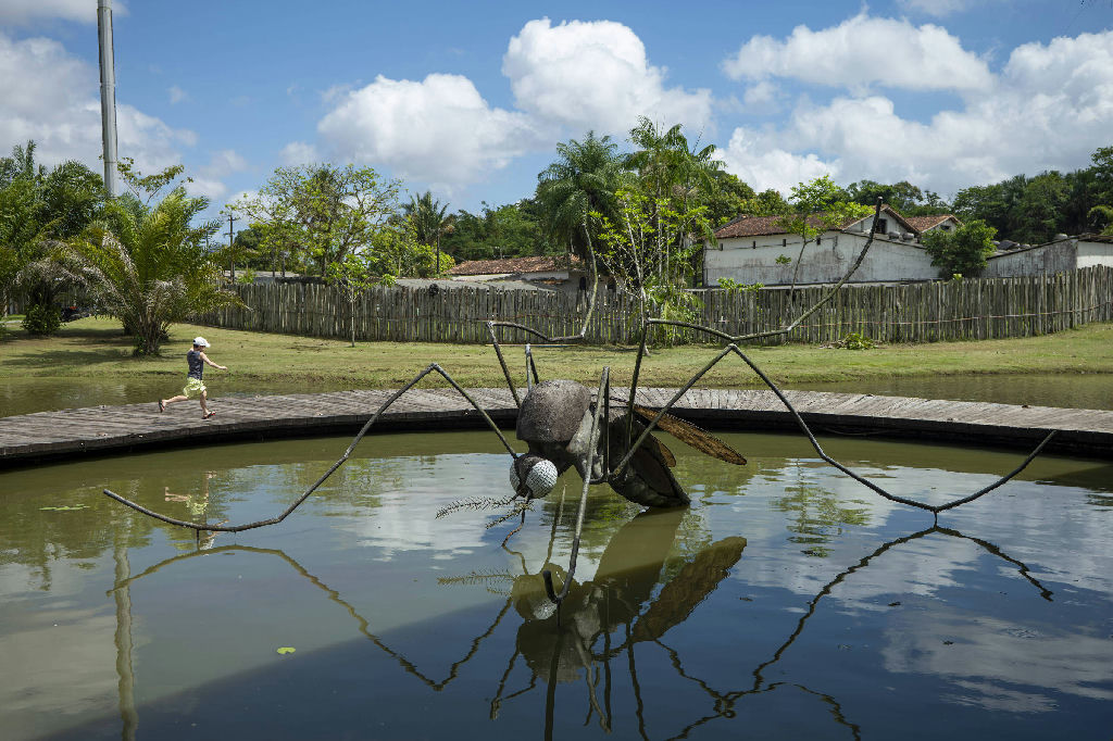 Dengue: Belém adota estratégias inovadoras para conter o mosquito Aedes aegypti