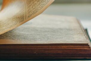 Digitalização de livros: gigante de IA destrói obras e reacende debate sobre patrimônio