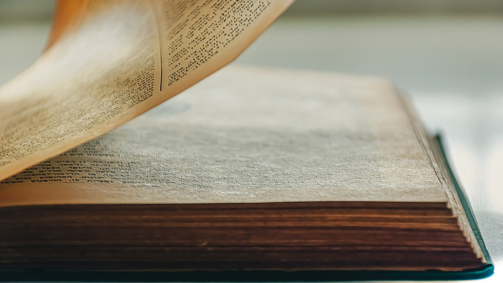 Digitalização de livros: gigante de IA destrói obras e reacende debate sobre patrimônio