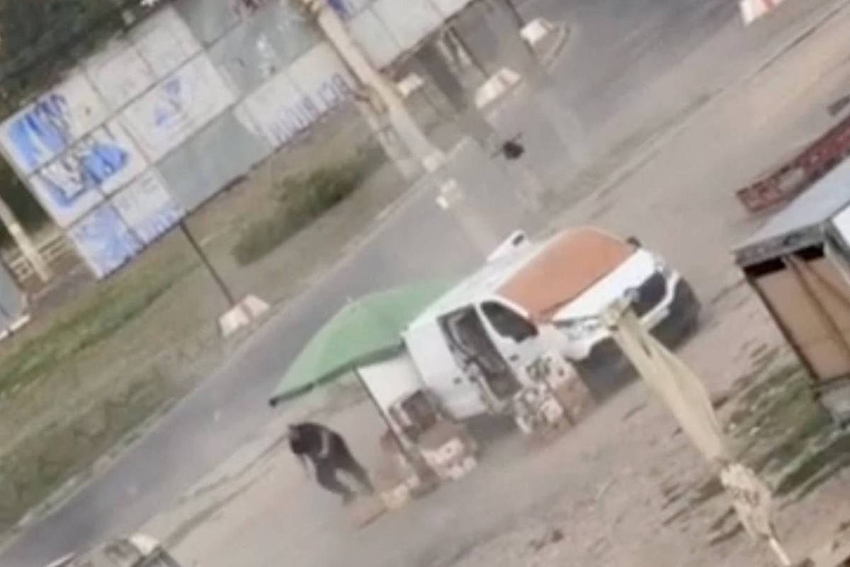 Escalada da guerra: drone russo ataca civil em Kherson enquanto ofensiva ucraniana mata cinco na Rússia