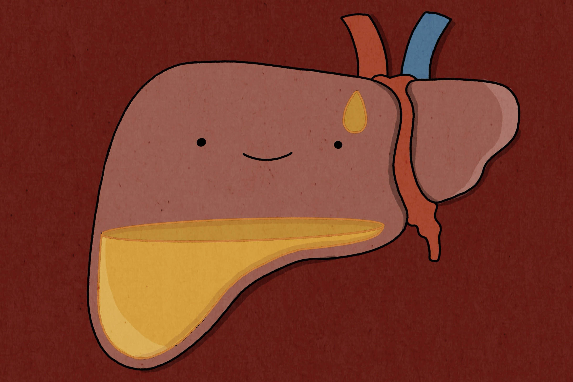 Gordura no fígado: entenda a esteatose hepática e como identificá-la