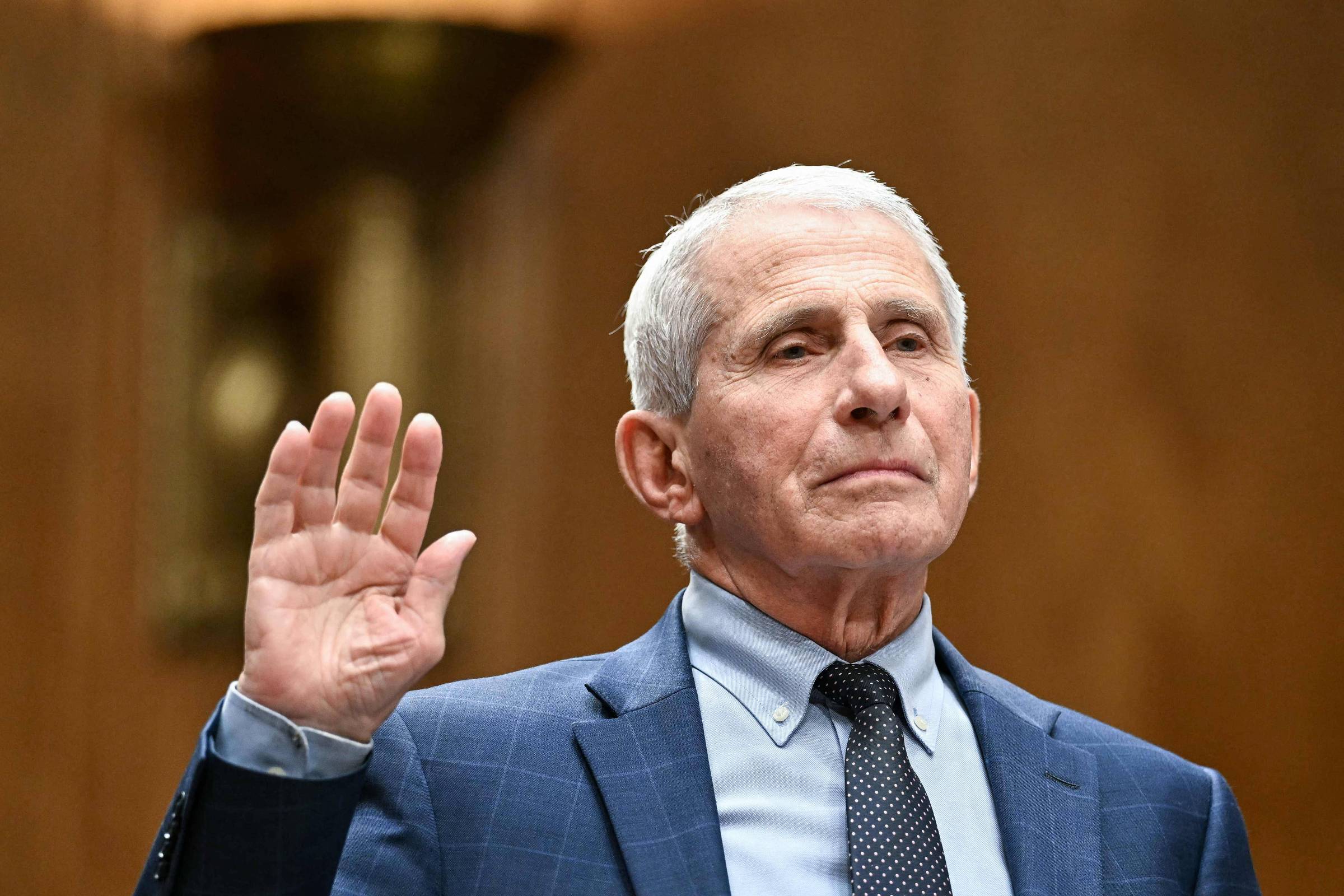 Perdão presidencial e 5ª Emenda: o dilema legal de Anthony Fauci no Congresso