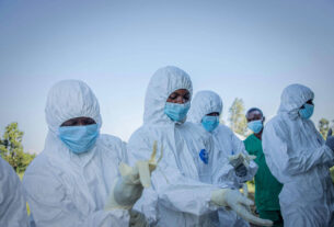 Pesquisa egípcia avança na busca por vacina contra a cepa Bundibugyo do ebola