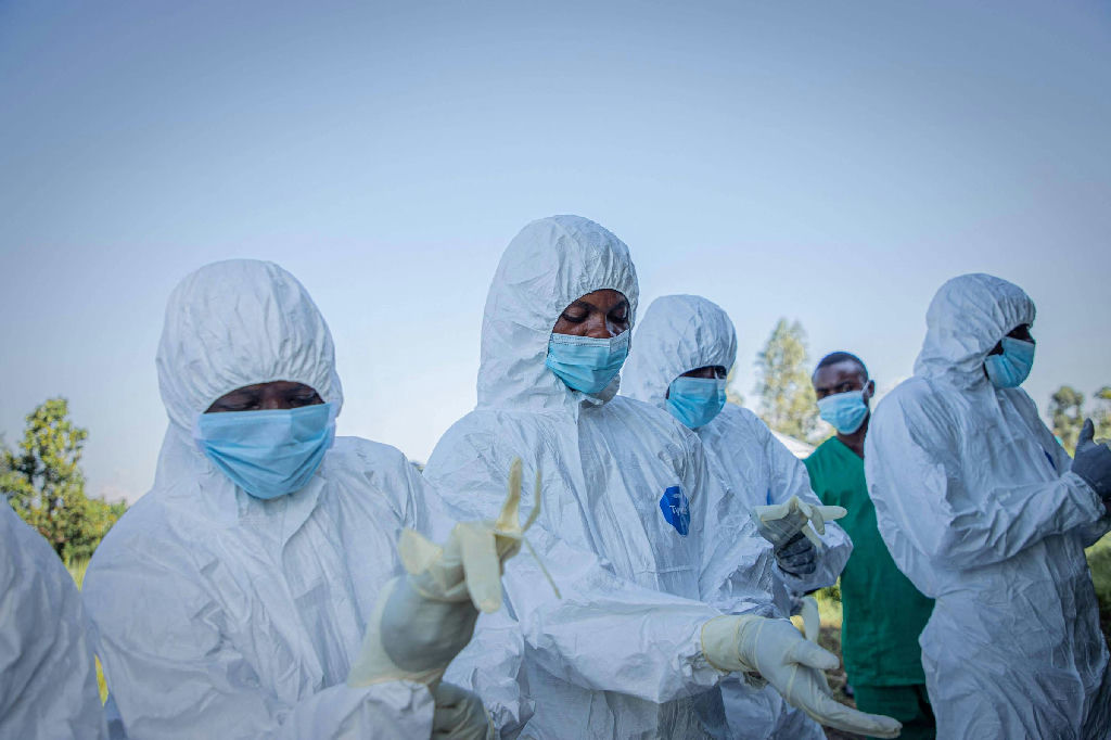 Pesquisa egípcia avança na busca por vacina contra a cepa Bundibugyo do ebola