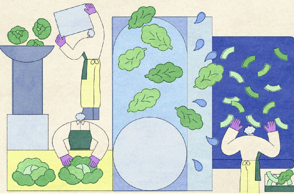 Salada embalada: entenda os riscos de contaminação e como se proteger
