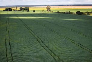 Senado aprova Profert para impulsionar produção nacional de fertilizantes