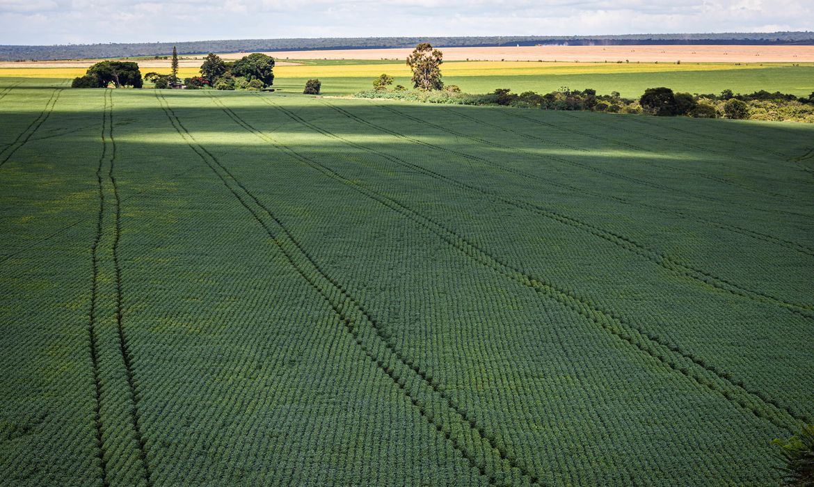Senado aprova Profert para impulsionar produção nacional de fertilizantes