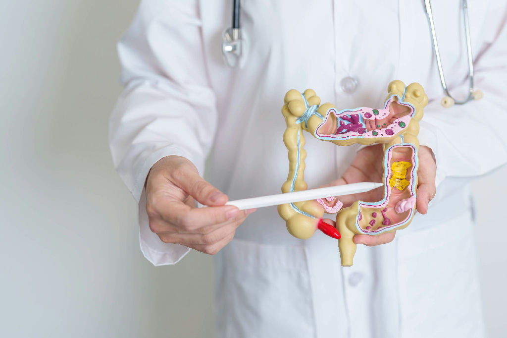 Casos de doenças inflamatórias intestinais no Brasil saltam mais de 400% em 13 anos