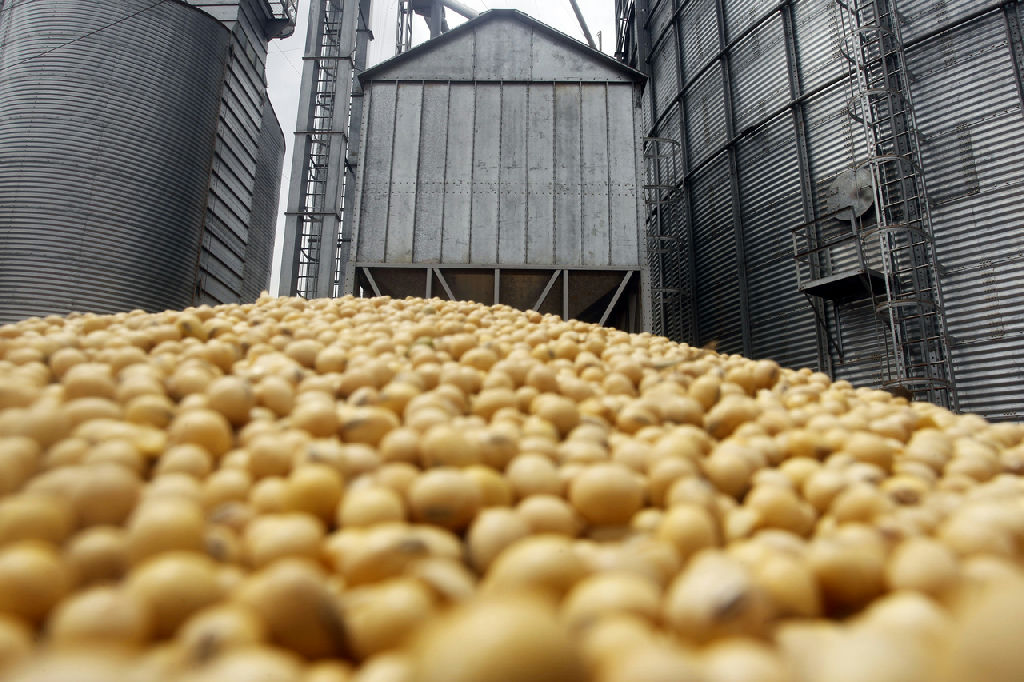 Cooperativas do agronegócio investem em industrialização da soja para mitigar riscos