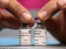 Estudo revela alta proteção da vacina Qdenga contra dengue e hospitalizações em adolescentes