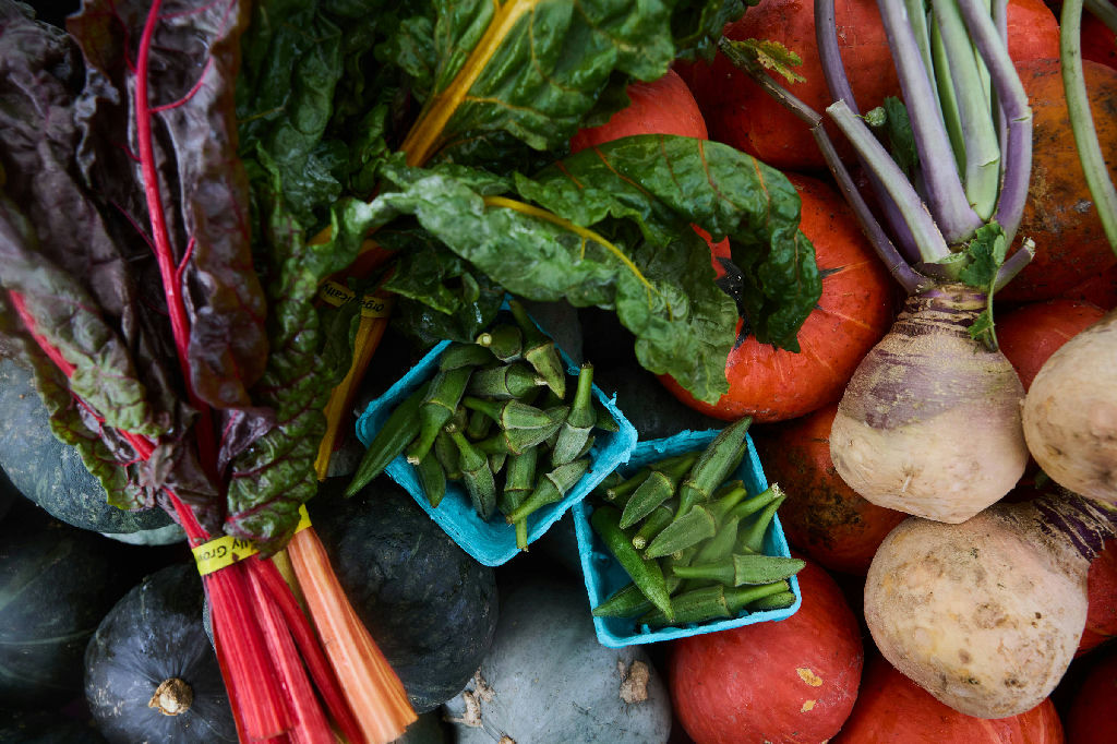 Nutrição em foco: dez frutas e hortaliças que são tesouros para a saúde
