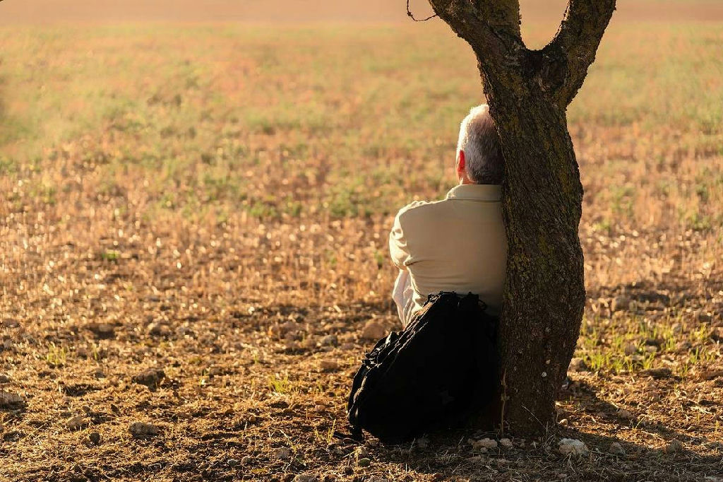 O dilema da velhice: como a escolha de não ter filhos redefine o futuro do cuidado no país