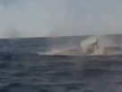 Ucrânia protagoniza primeira batalha naval entre drones da história no mar Negro