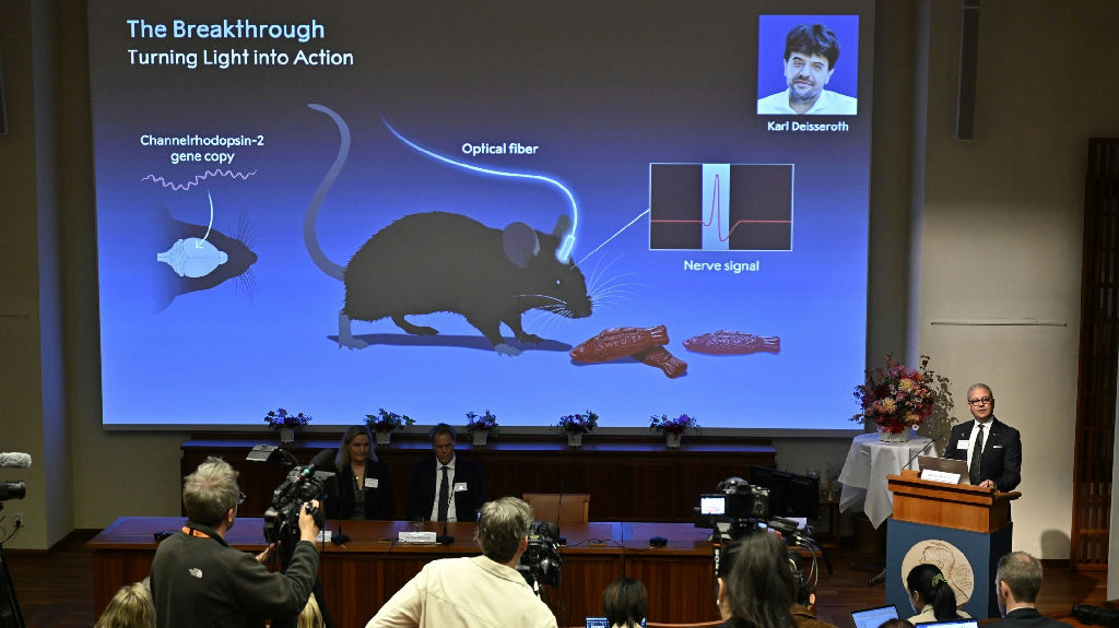 Optogenética conquista Nobel de Medicina 2026 ao transformar o controle cerebral com luz